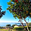 PedrAmare Suite