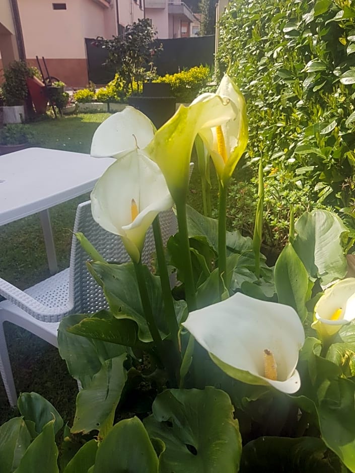 B&B La Damigiana Fioì