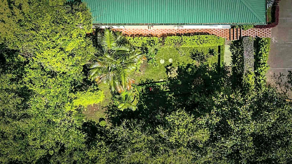 Hotel Ficus - Monteverde