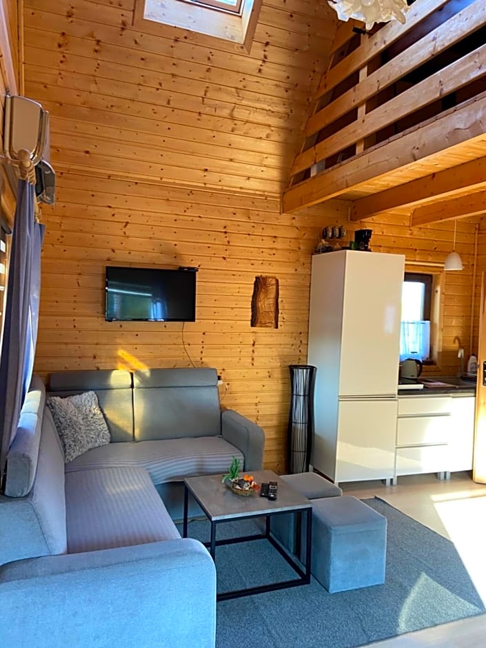 Dolina Bella - ogrzewany domek z balią, sauną i kominkiem w sercu Kaszub