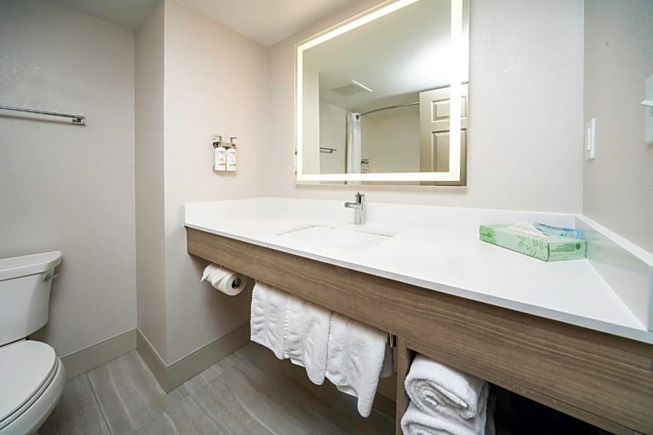 Holiday Inn Express and Suites Atlanta-Johns Creek By IHG