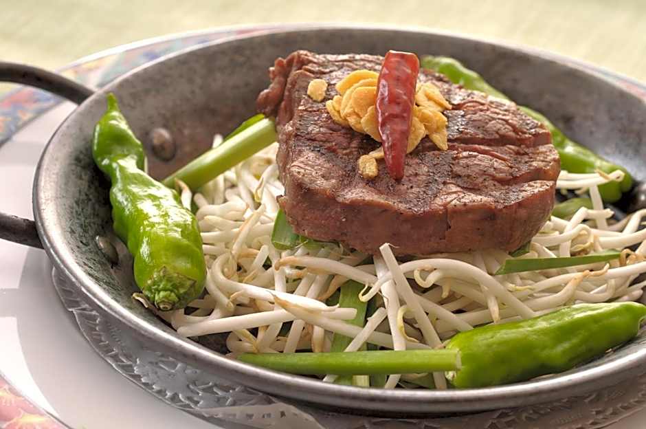 Takarazuka Washington Hotel