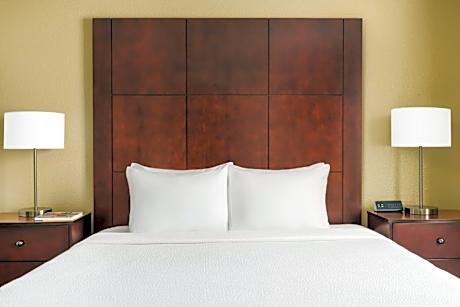 One-Bedroom Queen Suite with Sofa Bed, Fireplace