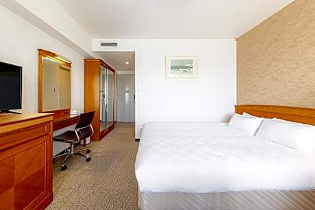Superior Double Room - Non-Smoking