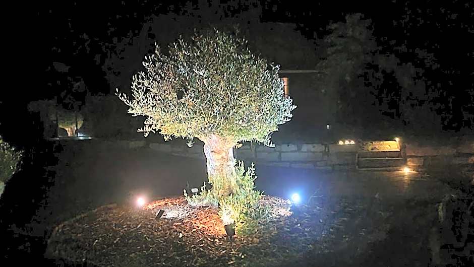 Le Bois aux Cerfs
