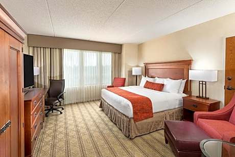 Accessible Room with King Bed