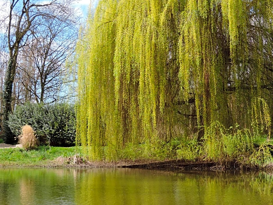 Chambres d'Hôtes de la Bucaille
