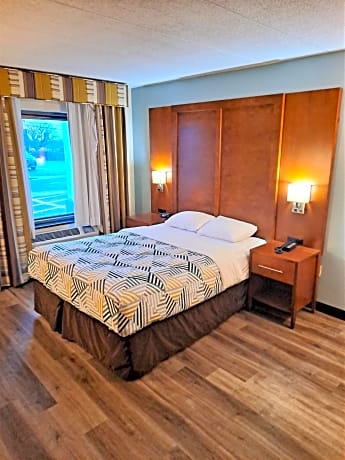 Queen Room - Disability Access - Roll in Shower