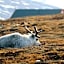 Radisson Blu Polar Hotel, Spitsbergen