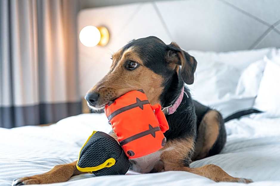 Residence Inn by Marriott Slough