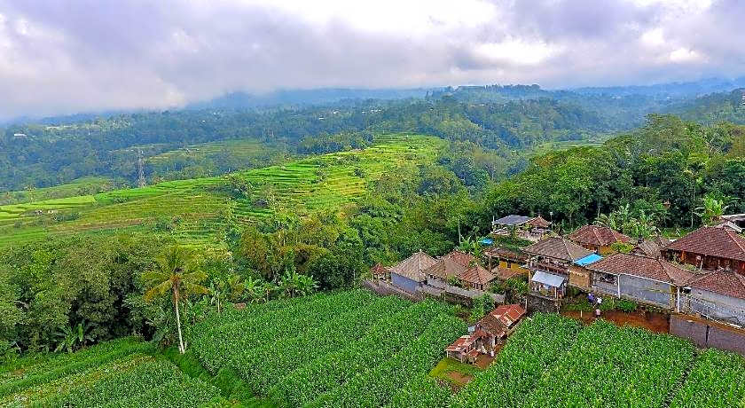 Pondok Nyoman Bedugul
