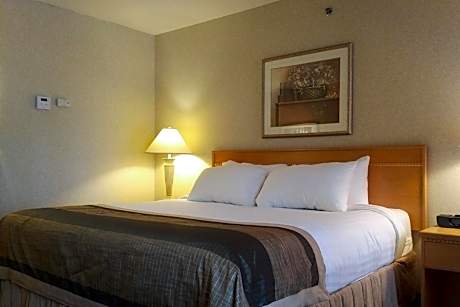 King Room - Non-Smoking