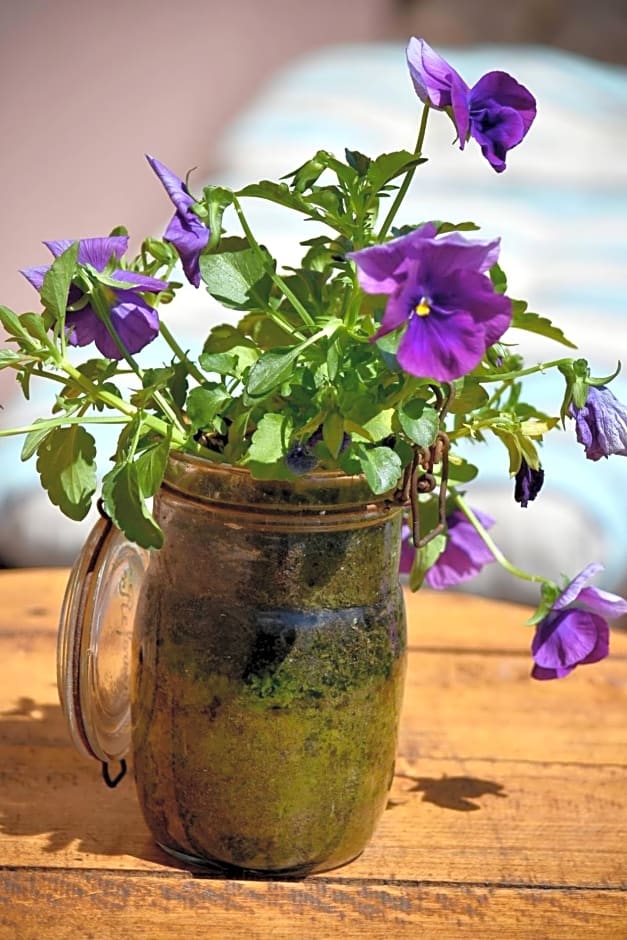 Pokoje go¿cinne Ewela