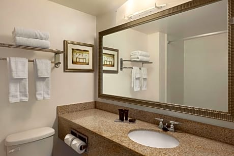 2 Queen Beds Mobility Accessible Room Non-Smoking