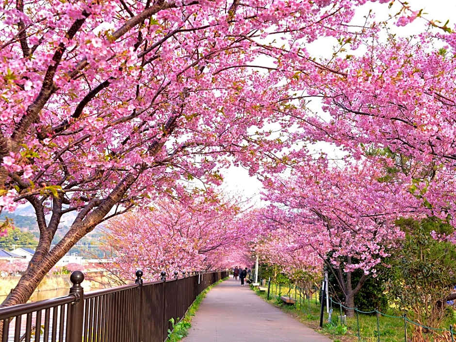 K‘ｓCAMP Izukogen Granping