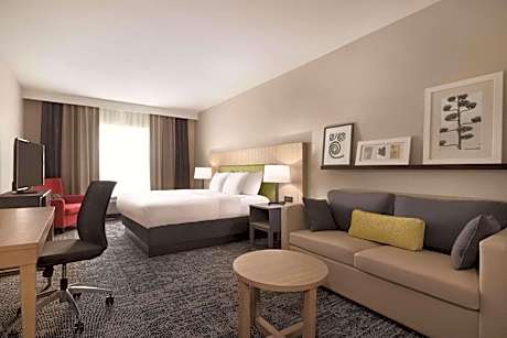 King Studio Suite with Sofa Bed - Non-Smoking