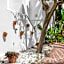 Royal Oasis Club At Pueblo Quinta