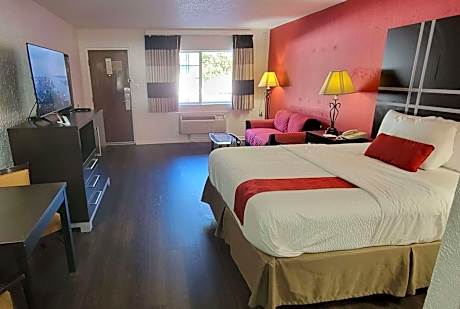 King Room - Pet Friendly/Non-Smoking