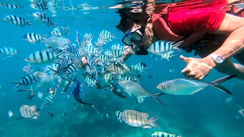 Baanchanlay Kohchang