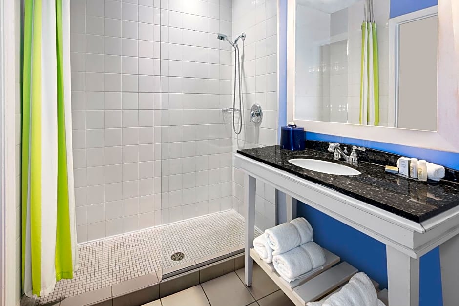 Hotel Indigo Houston at the Galleria, an IHG Hotel