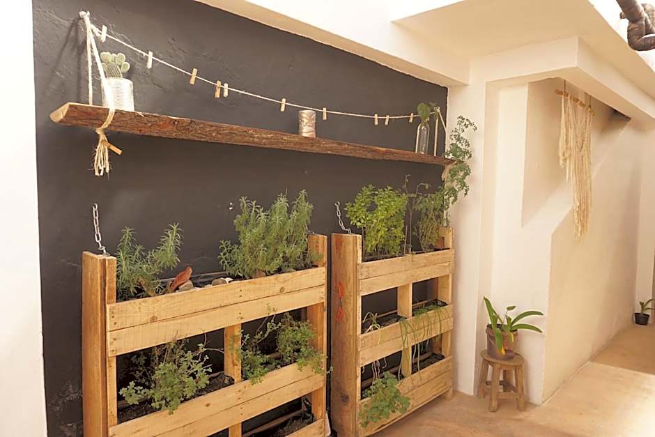 Hostel Boutique 55