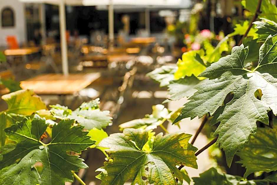 Parkhotel Krone