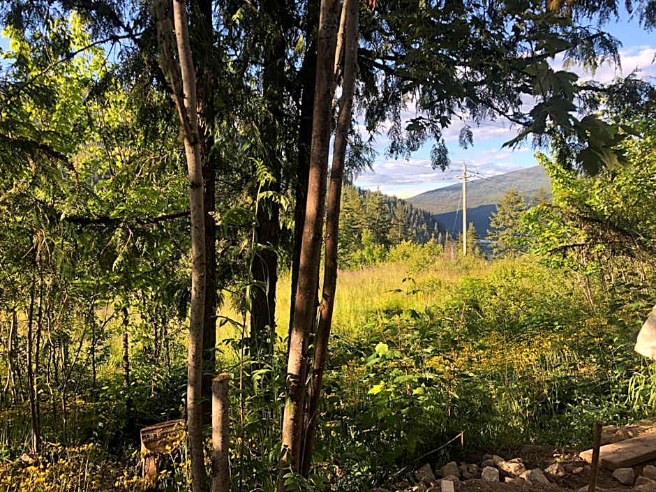 Idyllic Cabin Retreat Only 5 Minutes Away From Nelson