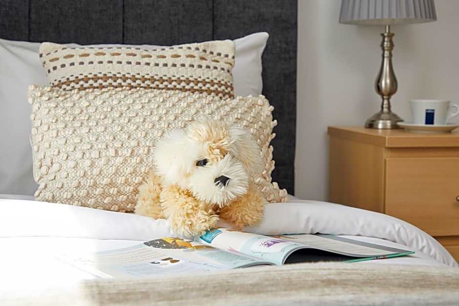 Luccombe Manor Country House Hotel