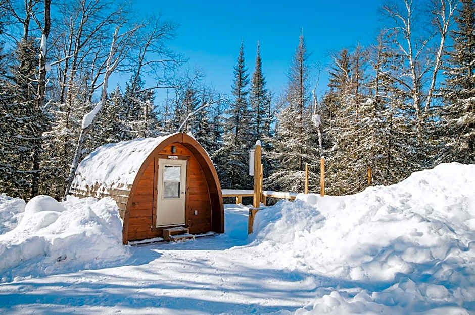 Entre Lemoine et l'arbre