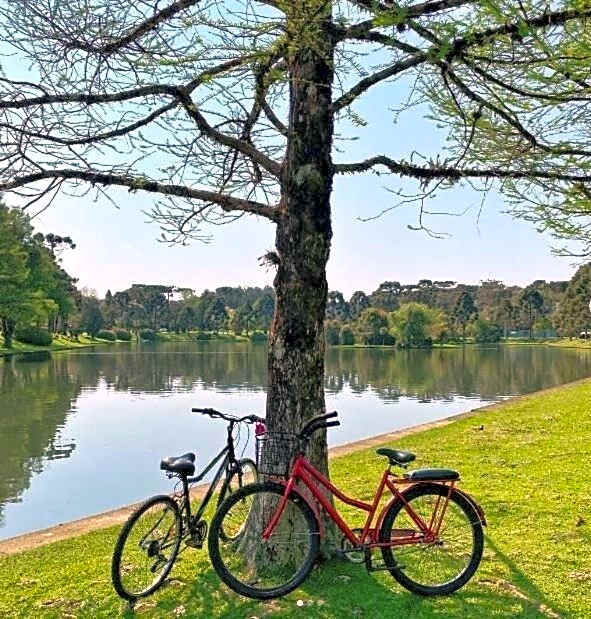 Luxuoso Studio 2007 Laje de Pedra Gramado Canela