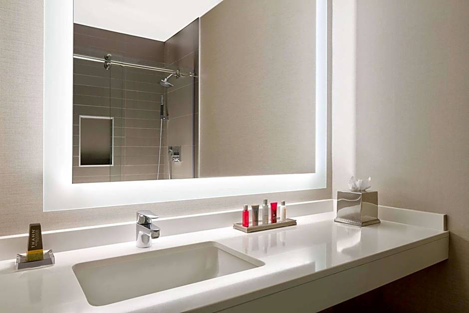 Wyndham Atlanta Buckhead Hotel & Conference Center