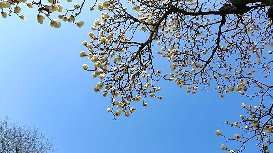 B&B La Cascina Grossa