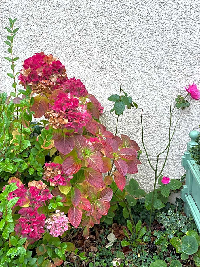 Aerotel Versailles Saint Cyr - L'étape du Silence