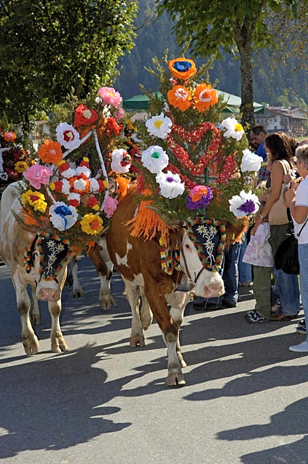 Ferienhotel Tyrol Söll am Wilden Kaiser