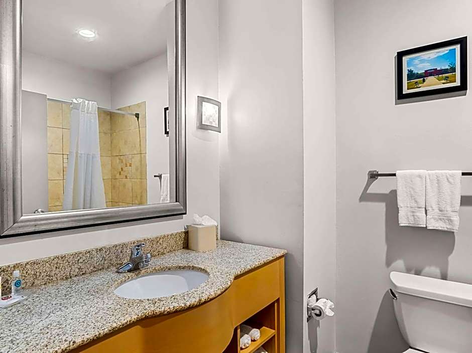 Comfort Suites Lindale - Tyler North