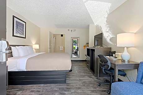 1 King Bed, Nonsmoking, Accessible