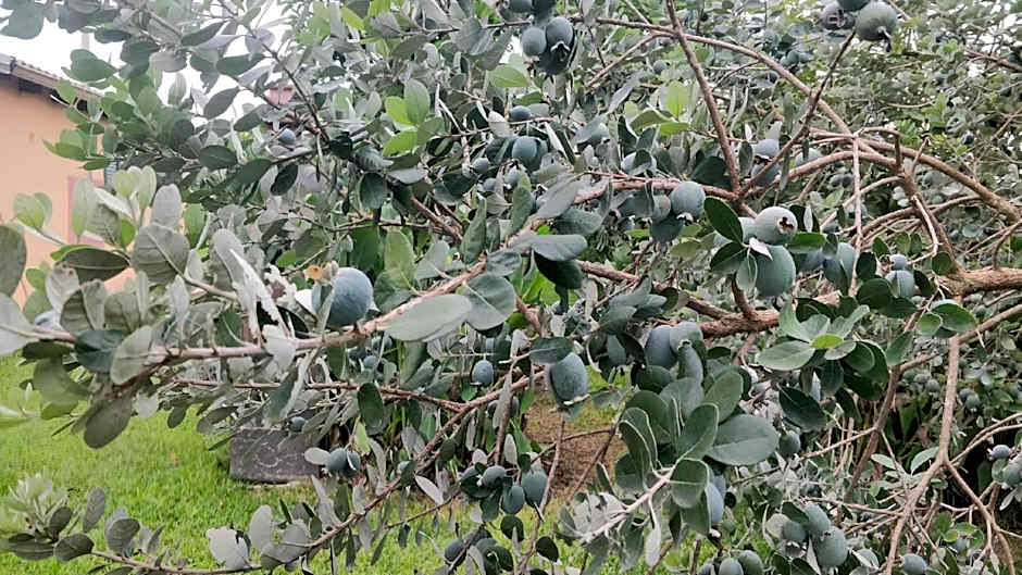 hiresicily - Casale della Pergola