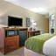 Comfort Inn Downtown Lookout Mountain Chattanooga