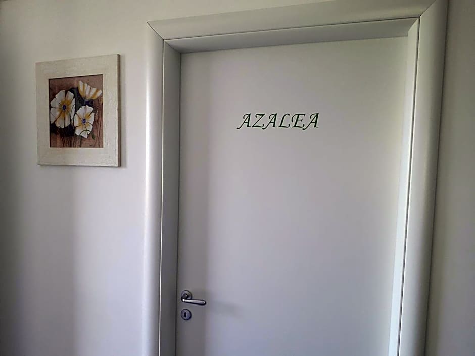 B&B Villa Molinari Restaurant e Baby Park