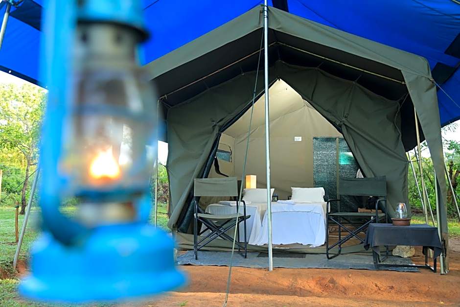 Big Game Yala - by Eco Team