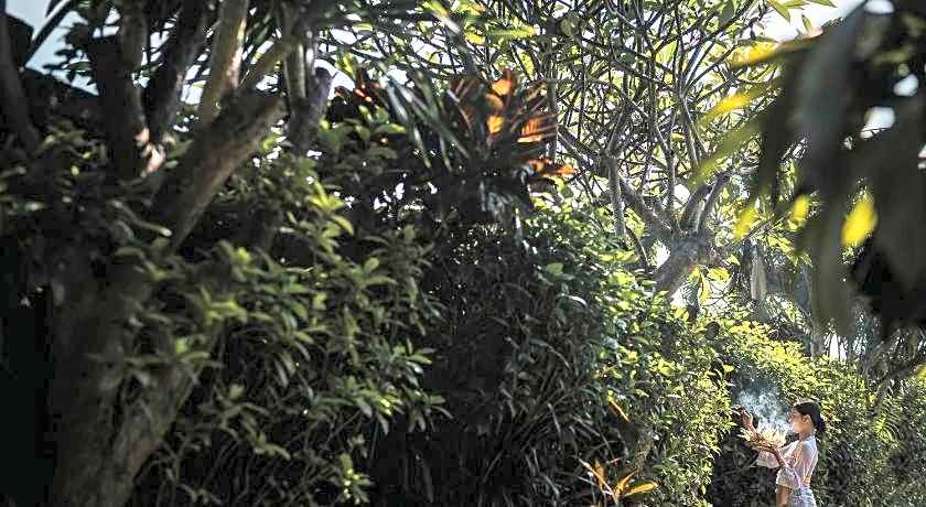 Aradhana Villas by Ekosistem