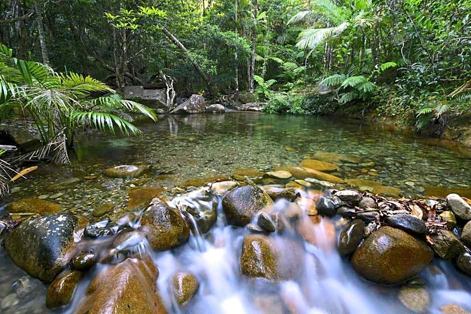 Daintree Cascades
