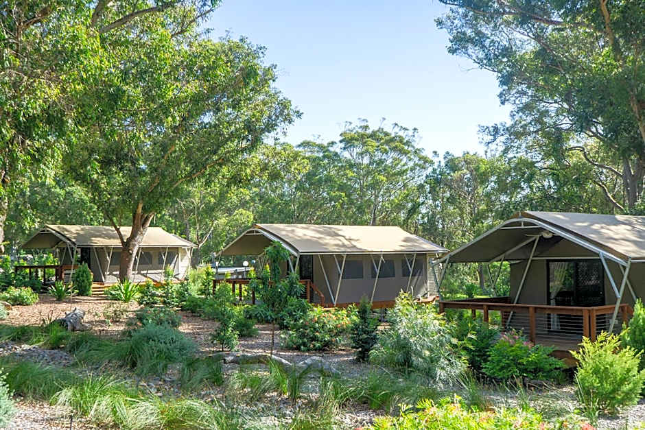 Port Stephens Koala Sanctuary