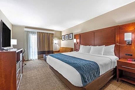 Standard Room, 1 King Bed, Non Smoking