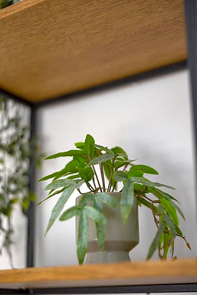 MELIGEO Suites Center of IOANNINA