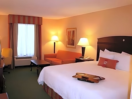 Studio Suite with King Bed