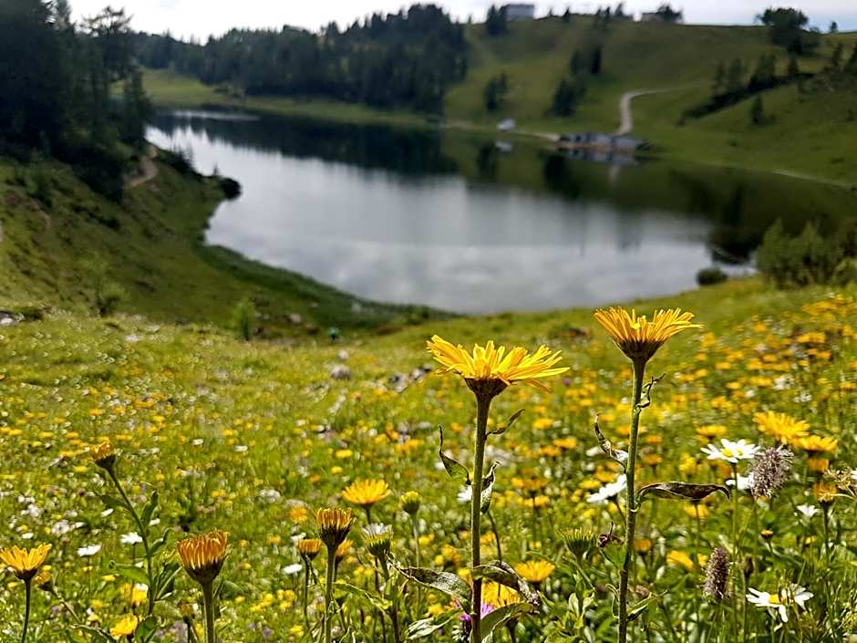 Hotel Berghof Tauplitzalm