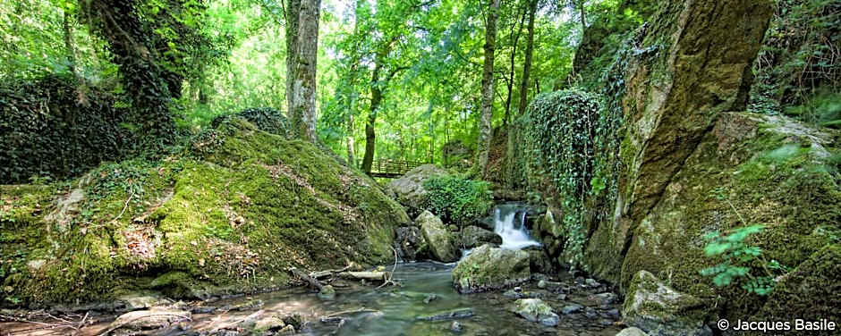 Ibis Falaise Coeur De Normandie