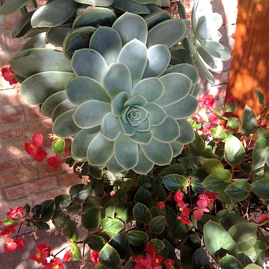 Gerald's Gift Guest House