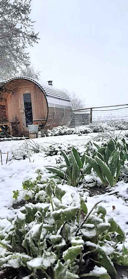 B & B Victors Hof, met zwemvijver en leuke diertjes